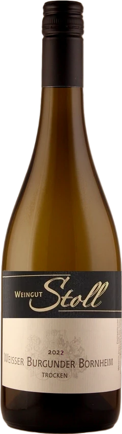 Flasche Weißwein Weßburgunder Bornheim 2022 trocken
